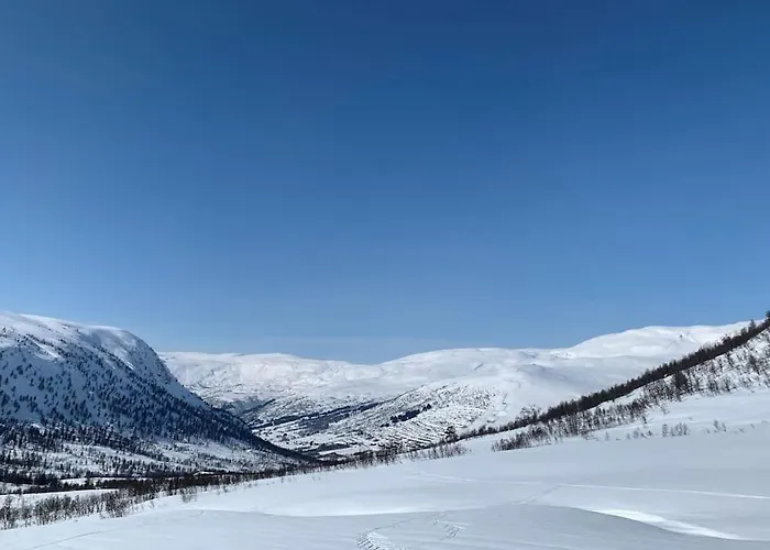 公寓 Pa Helgatun Fjellpensjonat As I Myrkdalen
